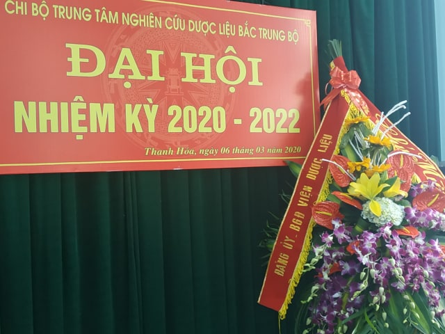 Không có ảnh